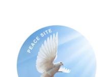 Descriere Proiect PEACE SITE