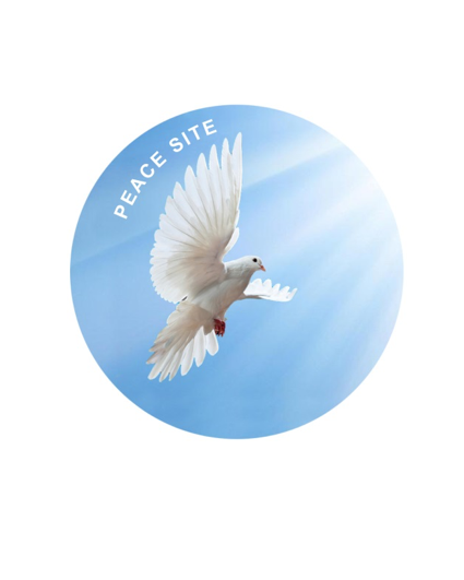 Descriere Proiect PEACE SITE